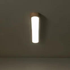 (OpenBox) Natural Wood Long Oval Dimmable LED Flush Mount