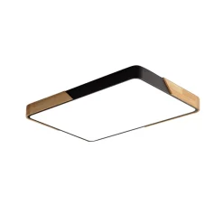 Rectangle LED Flush Mount Light