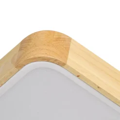 Rectangle LED Flush Mount Light