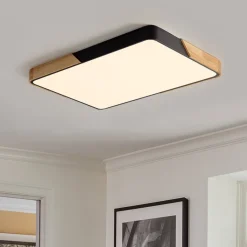 Rectangle LED Flush Mount Light