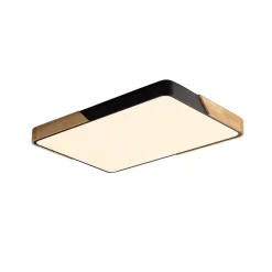 Rectangle LED Flush Mount Light