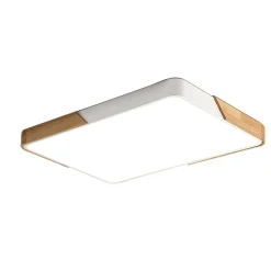 Rectangle LED Flush Mount Light