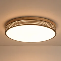 Rustic Black Mesh Wooden Dimmable LED Round Ceiling Light