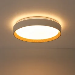 Scandinavian 5CCT Dimmable LED Round Flush Mount Light