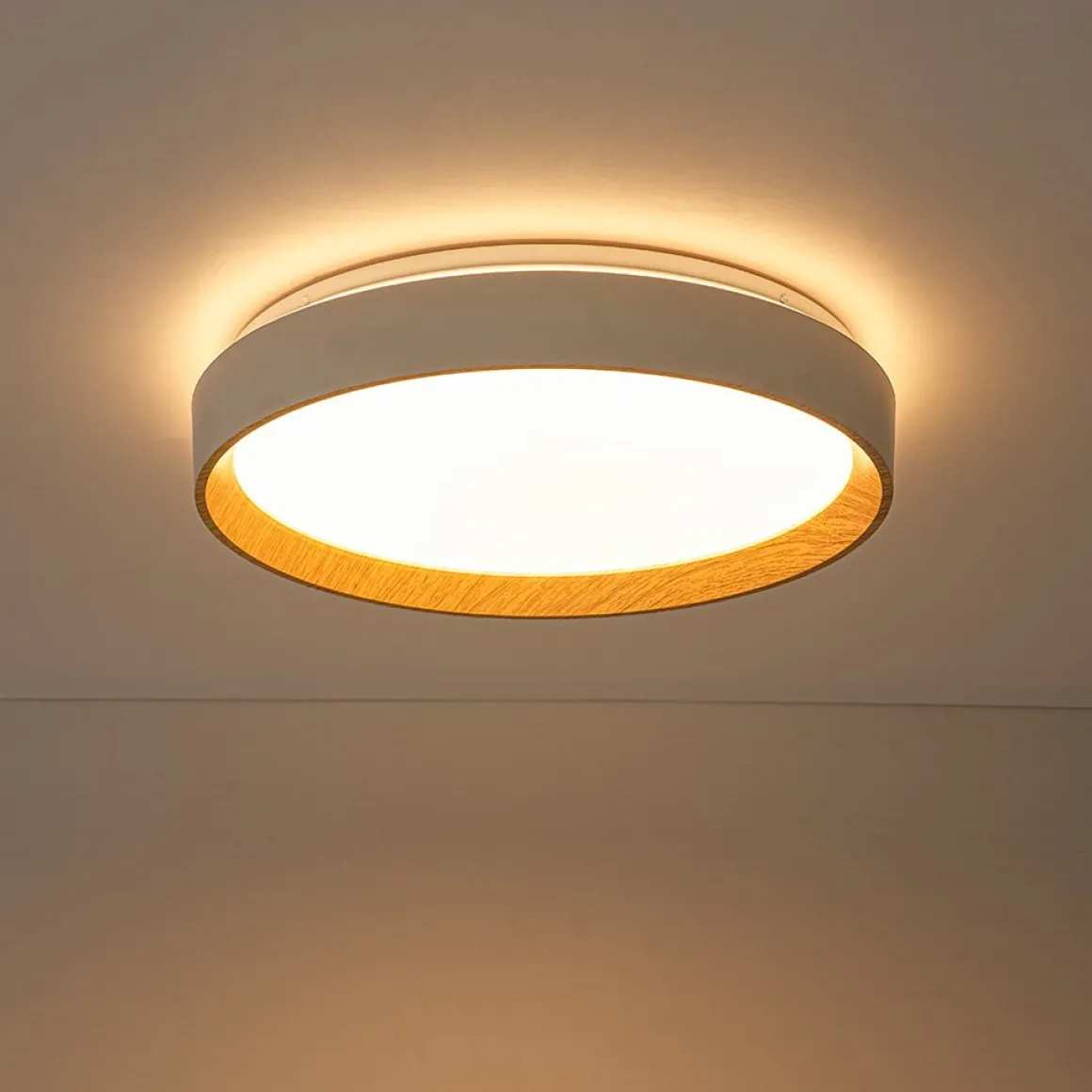 Scandinavian 5CCT Dimmable LED Round Flush Mount Light