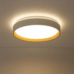 Scandinavian 5CCT Dimmable LED Round Flush Mount Light