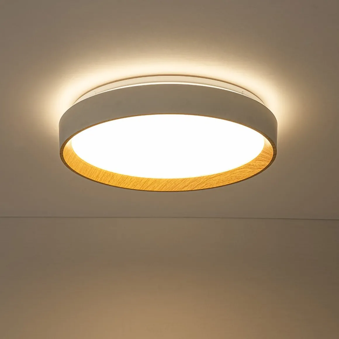 Scandinavian 5CCT Dimmable LED Round Flush Mount Light