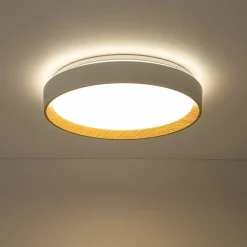 Scandinavian 5CCT Dimmable LED Round Flush Mount Light