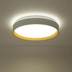 Scandinavian 5CCT Dimmable LED Round Flush Mount Light