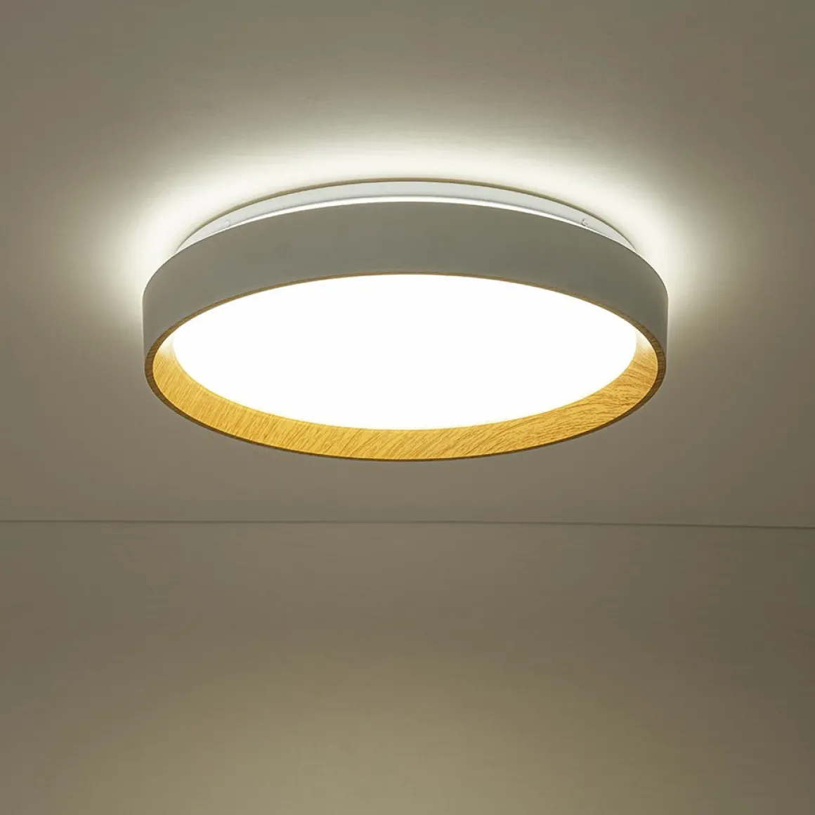 Scandinavian 5CCT Dimmable LED Round Flush Mount Light