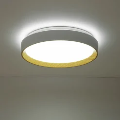 Scandinavian 5CCT Dimmable LED Round Flush Mount Light