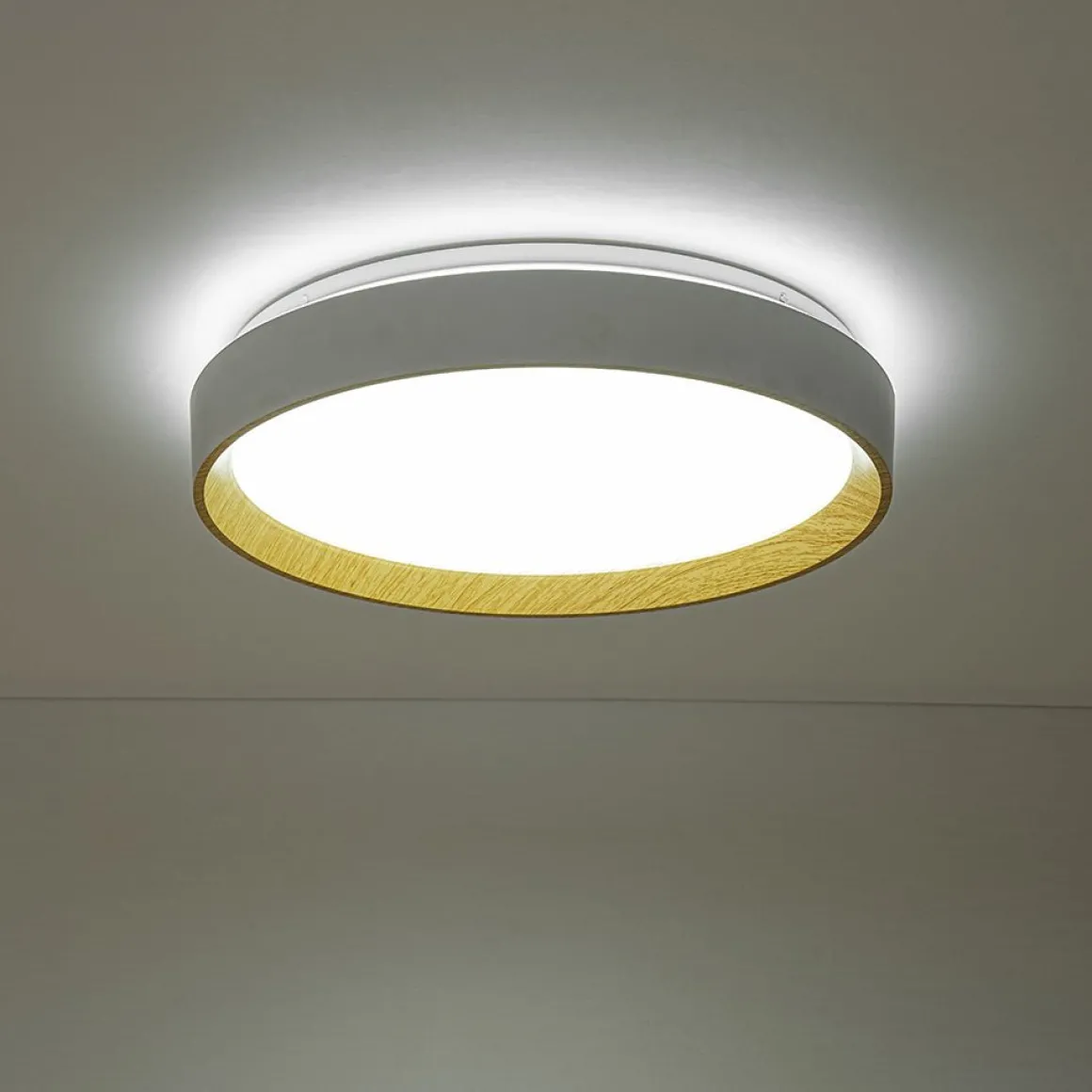 Scandinavian 5CCT Dimmable LED Round Flush Mount Light