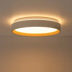 Scandinavian 5CCT Dimmable LED Round Flush Mount Light