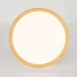 Scandinavian 5CCT Dimmable LED Round Flush Mount Light