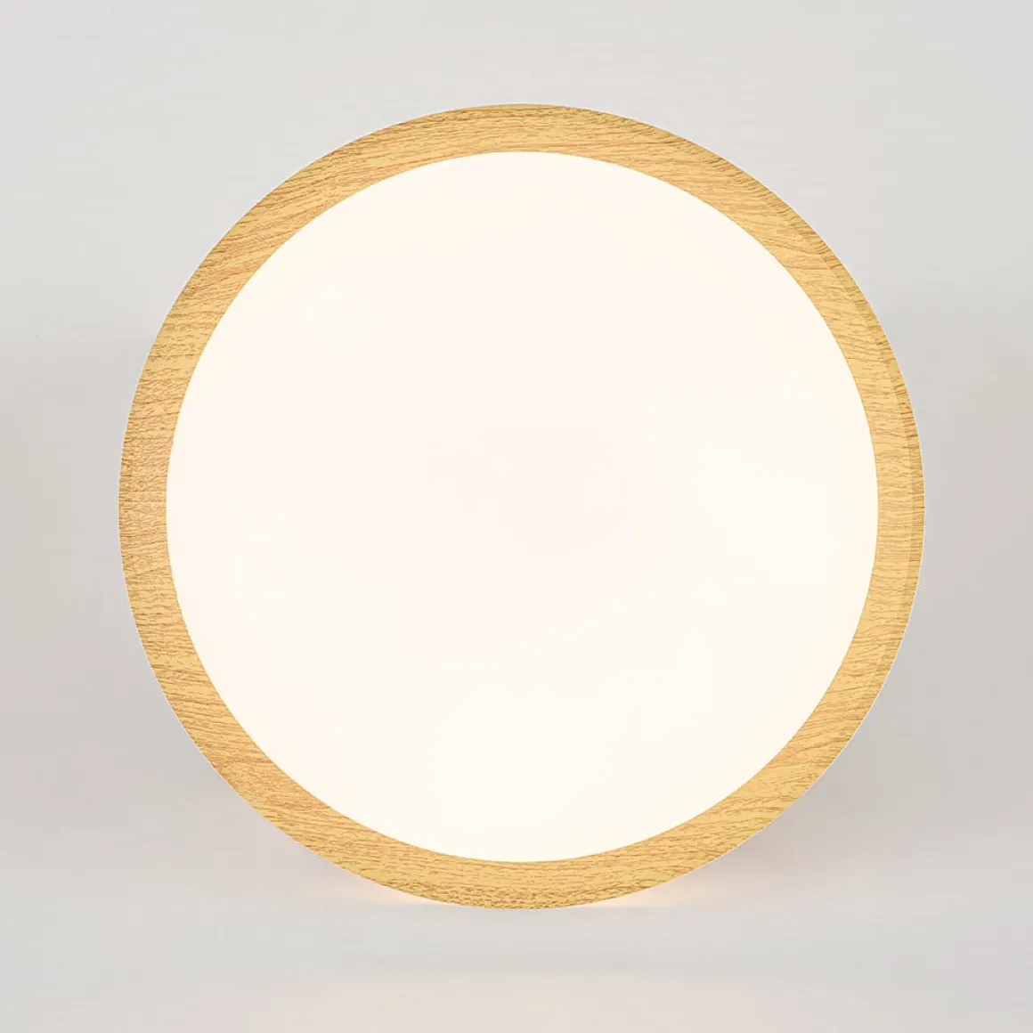 Scandinavian 5CCT Dimmable LED Round Flush Mount Light