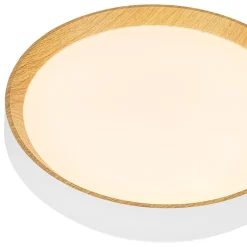 Scandinavian 5CCT Dimmable LED Round Flush Mount Light