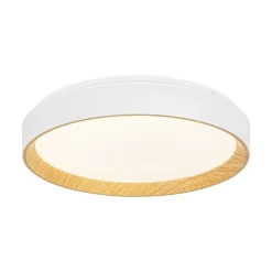 Scandinavian 5CCT Dimmable LED Round Flush Mount Light