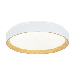 Scandinavian 5CCT Dimmable LED Round Flush Mount Light