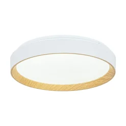 Scandinavian 5CCT Dimmable LED Round Flush Mount Light