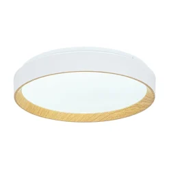 Scandinavian 5CCT Dimmable LED Round Flush Mount Light