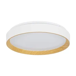 Scandinavian 5CCT Dimmable LED Round Flush Mount Light