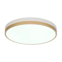 Scandinavian Round Dimmable LED Ceiling Light DIP Switch