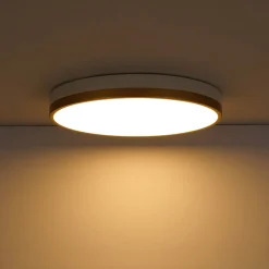 Scandinavian Round Dimmable LED Ceiling Light DIP Switch