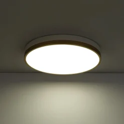 Scandinavian Round Dimmable LED Ceiling Light DIP Switch