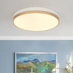 Scandinavian Round Dimmable LED Ceiling Light DIP Switch