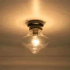 Schoolhouse 1-light Round Clear Glass Shade Semi Flush Mount