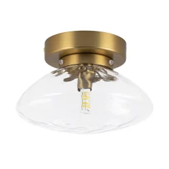 Versatile 1-Light Water Glass Oval Globe Semi Flush Wall Lamp