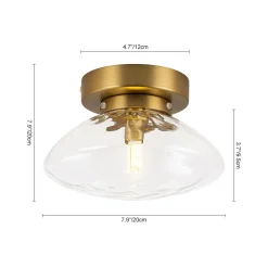 Versatile 1-Light Water Glass Oval Globe Semi Flush Wall Lamp