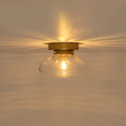 Versatile 1-Light Water Glass Oval Globe Semi Flush Wall Lamp