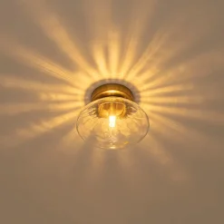 Versatile 1-Light Water Glass Oval Globe Semi Flush Wall Lamp