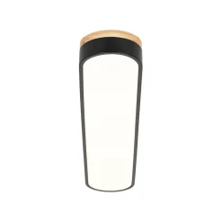 Wood Accent Oval Dimmable LED Flush Mount Ceiling Light